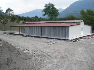 Box per cani prefabbricati, canili e gattili - V031