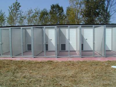 Box per cani prefabbricati, canili e gattili - V001